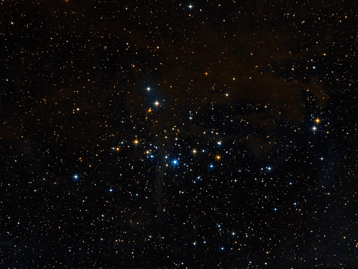 ngc 1342,little scorpion cluster