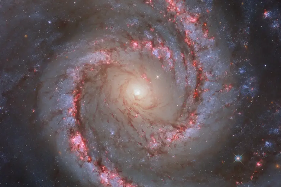 ngc 1566
