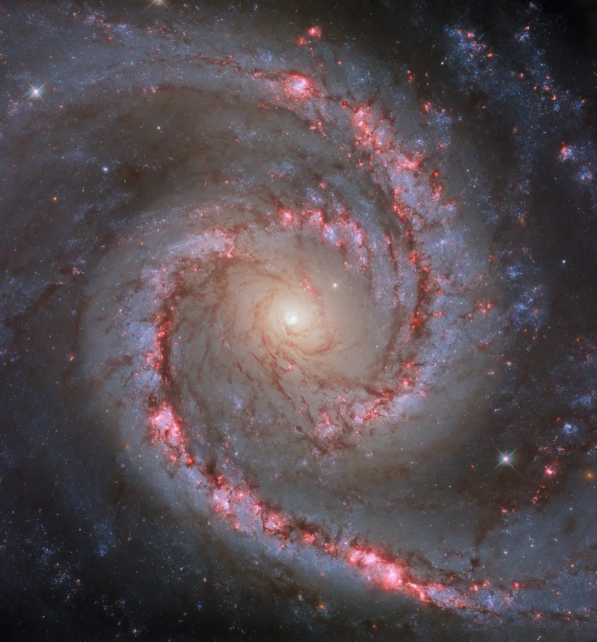 ngc 1566