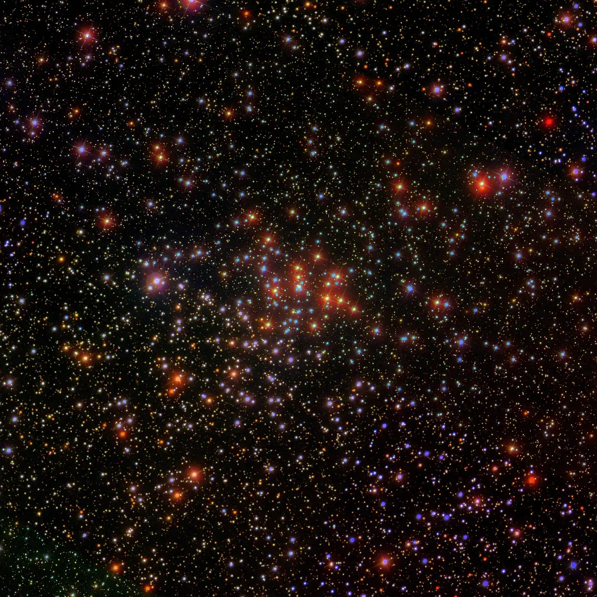 caroline's cluster in canis major,ngc 2360