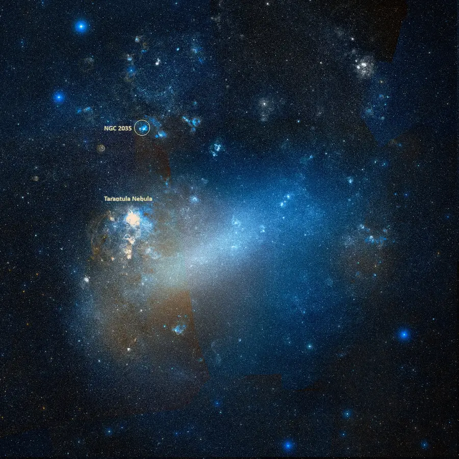 dragon's head nebula location in the large magellanic cloud