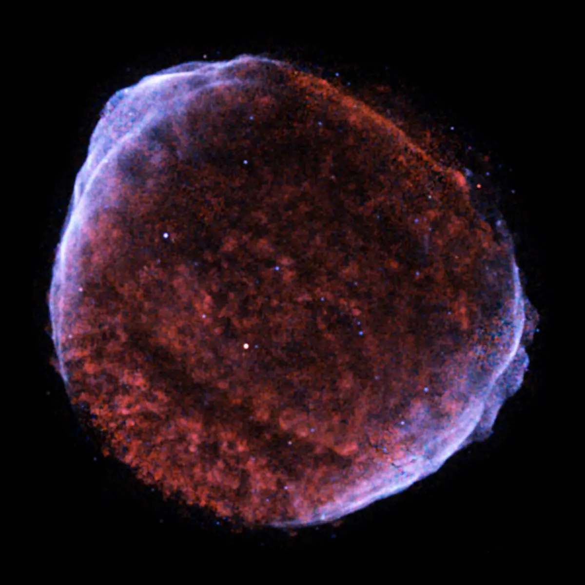 sn 1006