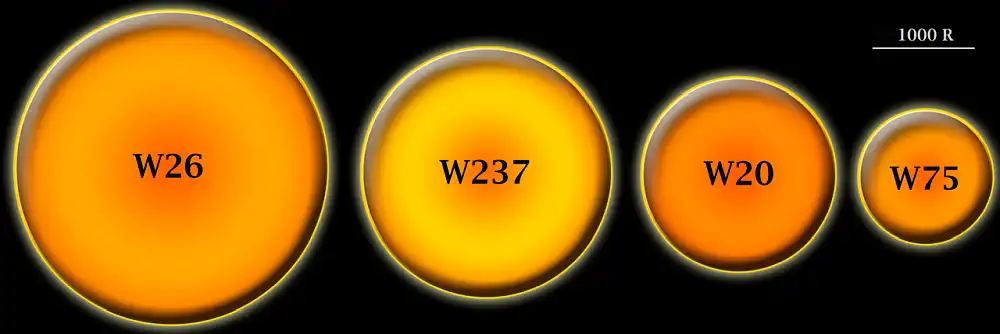 westerlund 1-26 size comparison to other red supergiants in the ara cluster